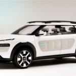 c4 cactus