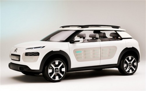 c4 cactus